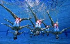 【九游体育下载】全球首届机器人竞技大赛落幕 科技与体育碰撞出新火花